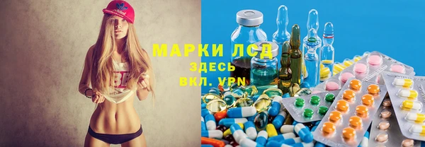 спиды Алексеевка