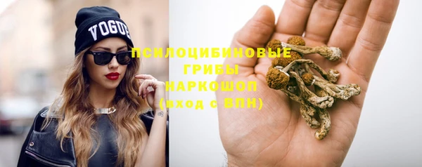 спиды Алексеевка