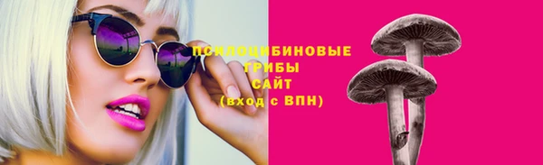 спиды Алексеевка