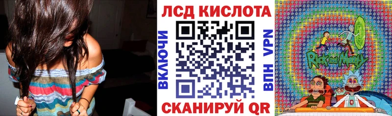 где найти наркотики  Тогучин  Наркотические марки 1,5мг 